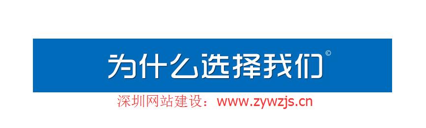 怎么选择专业的做网站设计的网络公司